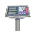 Balanza Plataforma 300 Kilos - Maigas 5